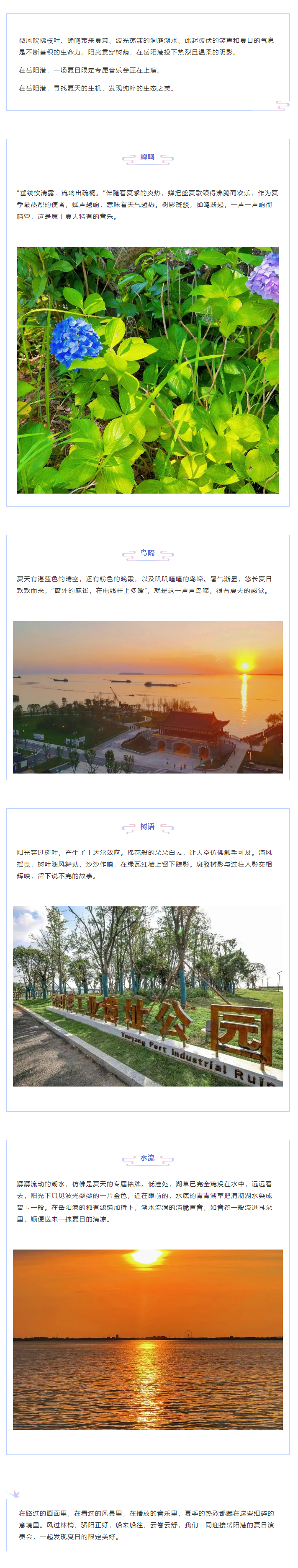 【夏日演奏會】在岳陽港，聆聽夏天的聲音.png
